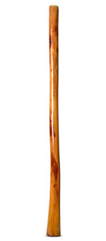 Gloss Finish Didgeridoo (TW1419)